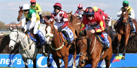 oddschecker horse racing